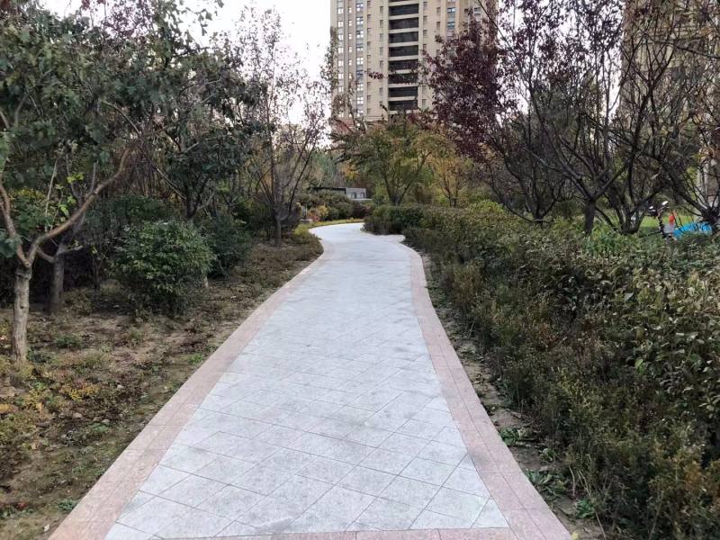 泰莱枫尚园区图片