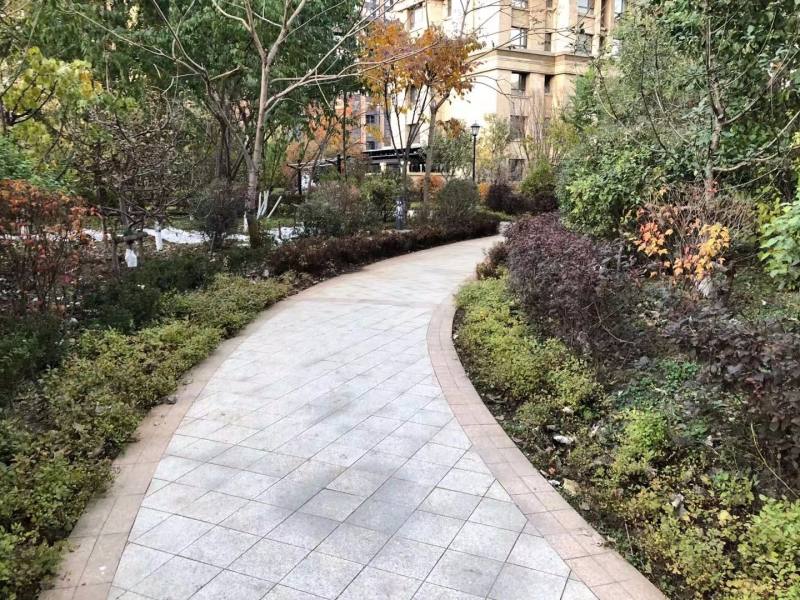 泰莱枫尚园区图片