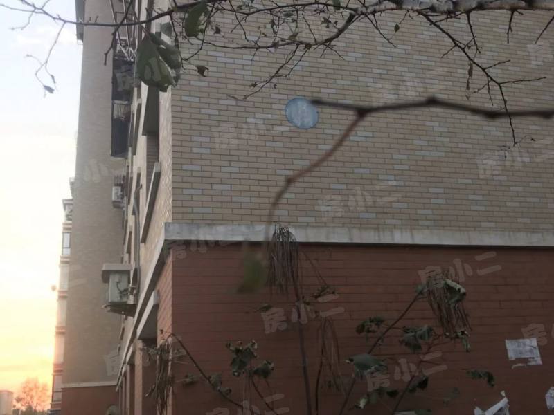 东湖家园园区图片