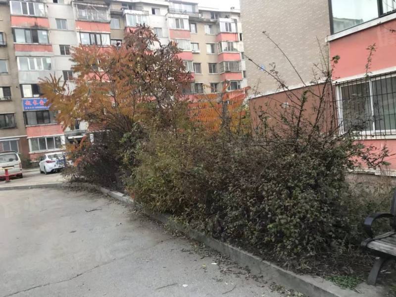 东湖家园园区图片