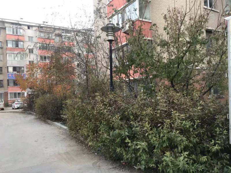 东湖家园园区图片