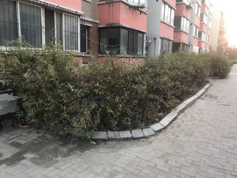 东湖家园园区图片