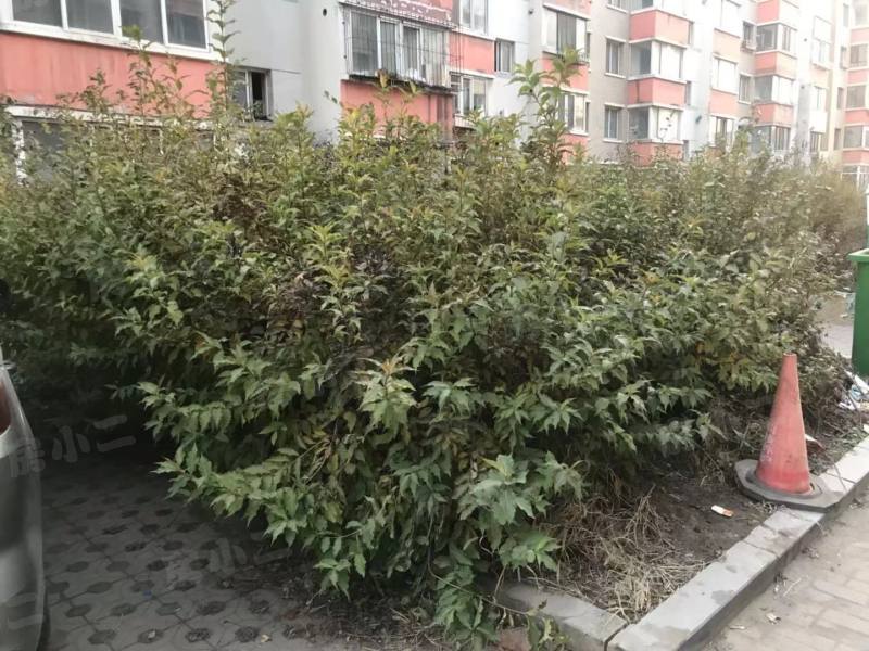 东湖家园园区图片