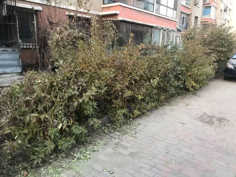 东湖家园园区图片