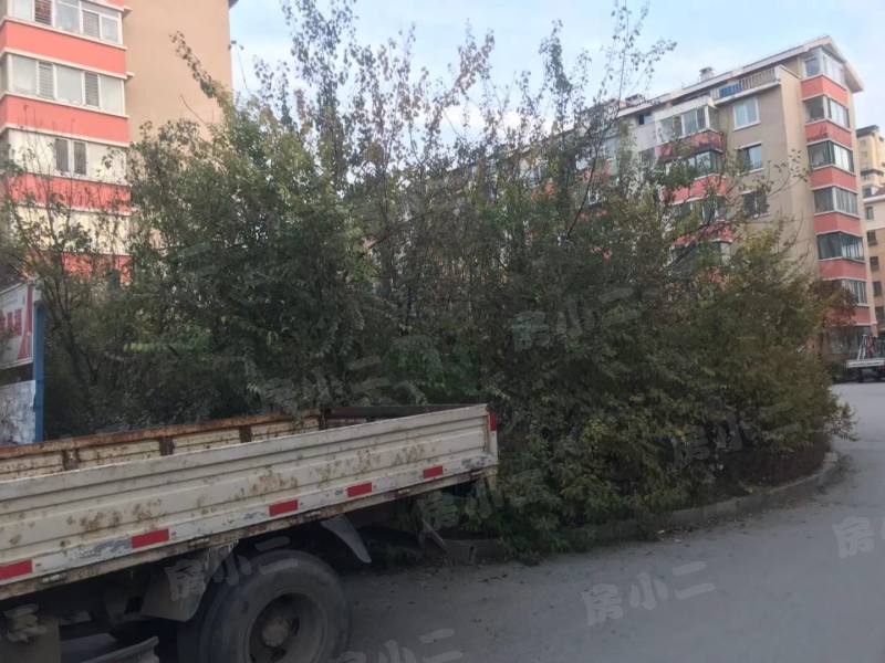 东湖家园园区图片