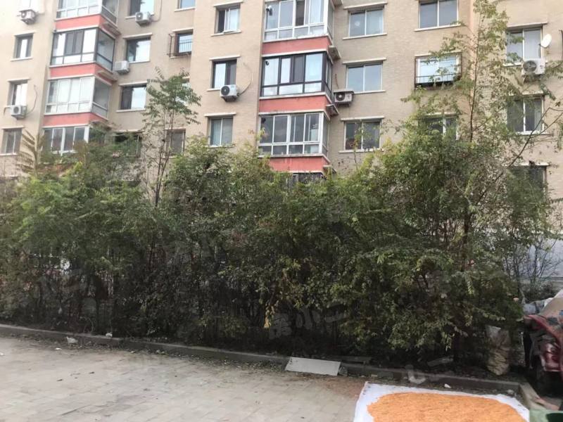 东湖家园园区图片