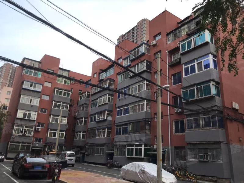 天星小区园区图片