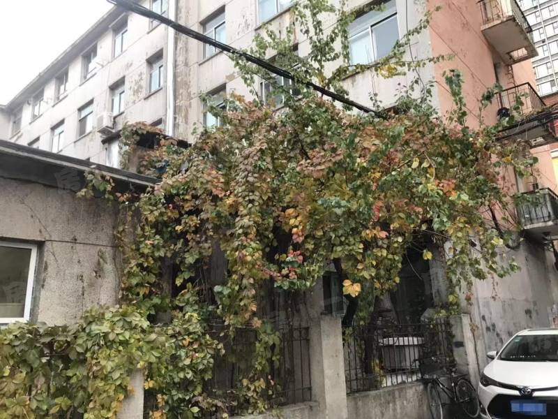 天星小区园区图片