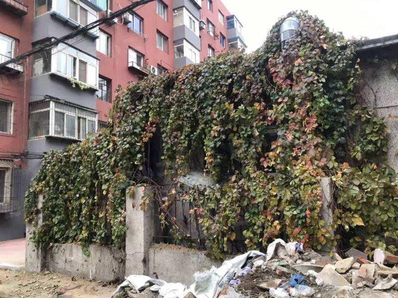天星小区园区图片