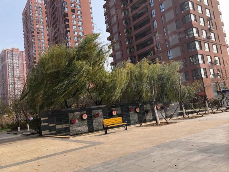 金地滨河国际园区图片