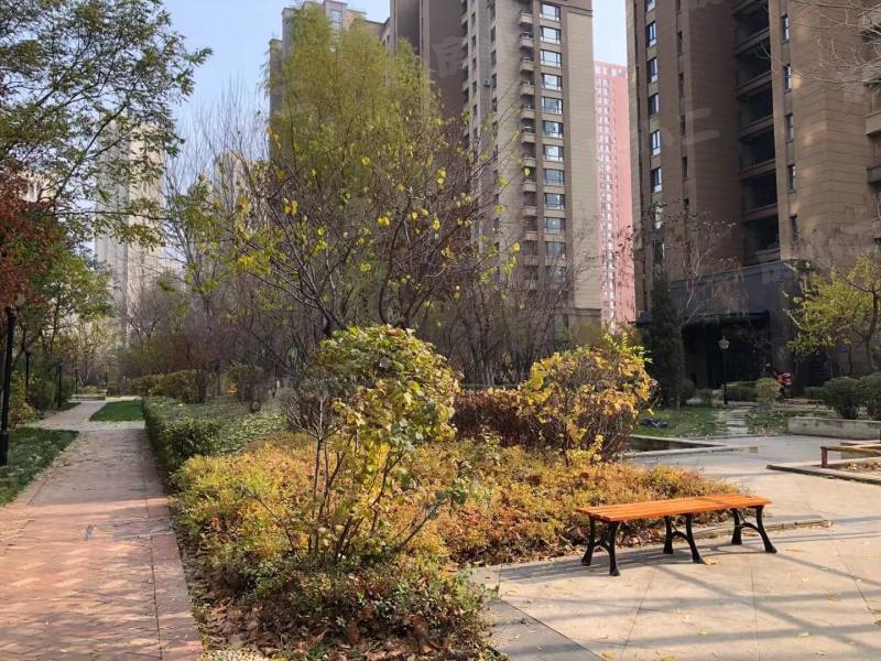 金地滨河国际园区图片