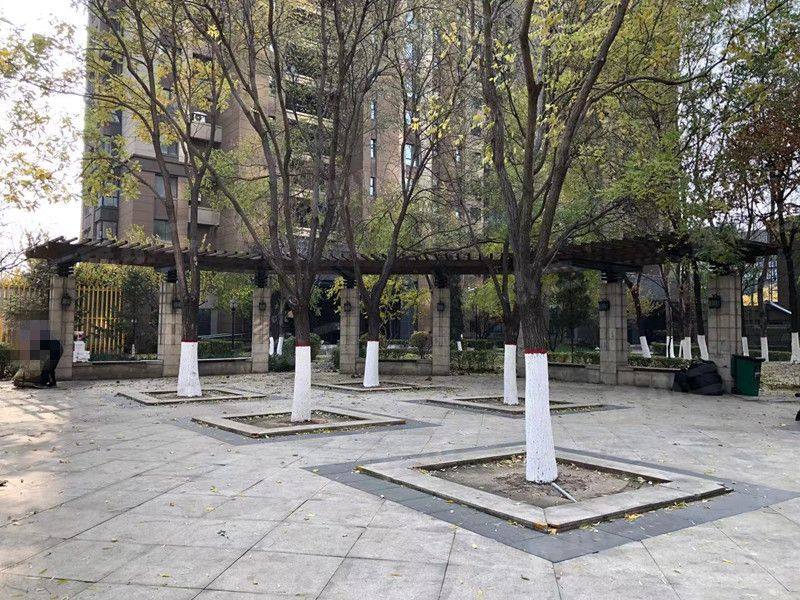 金地滨河国际园区图片