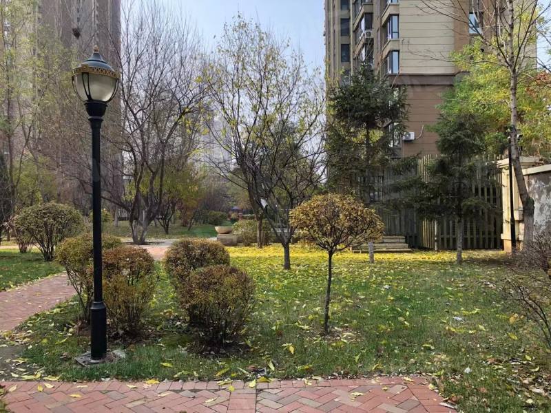 金地滨河国际园区图片