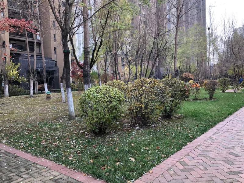 金地滨河国际园区图片