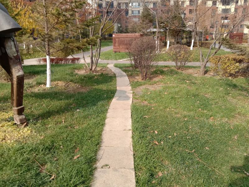 金地滨河国际园区图片