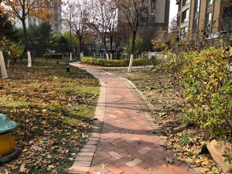 金地滨河国际园区图片