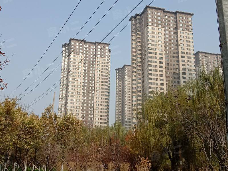 金地滨河国际园区图片