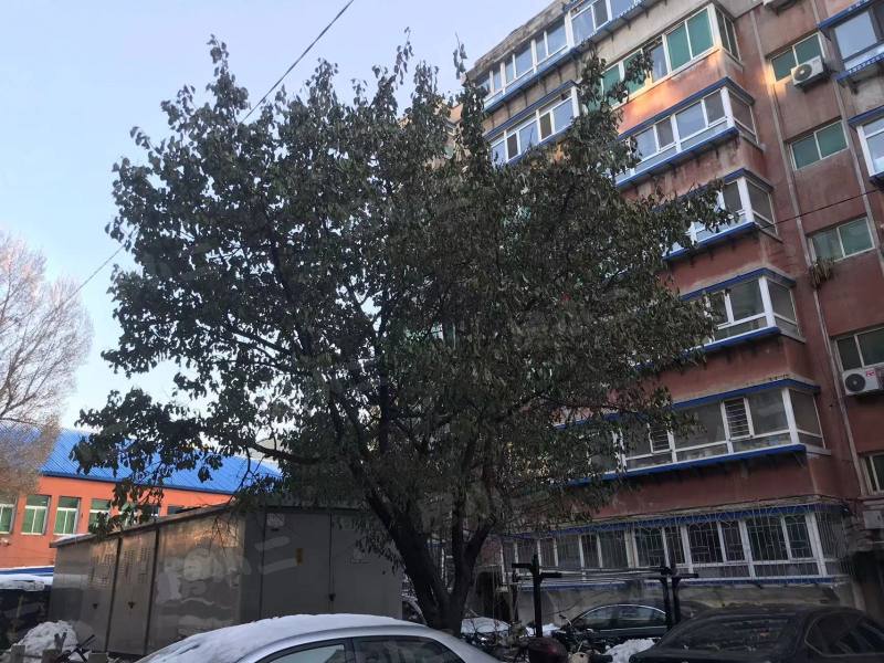 天兴家园园区图片