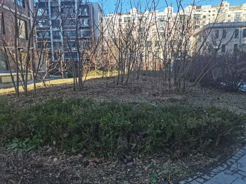 惠民馨苑园区图片