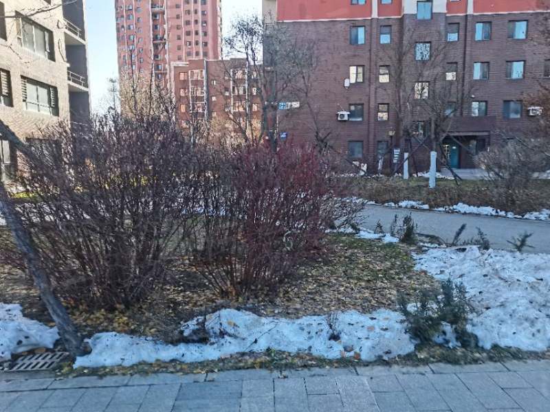 惠民馨苑园区图片