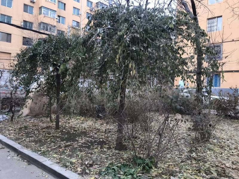 铁路小区(大东)园区图片