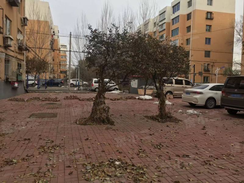 铁路小区(大东)园区图片