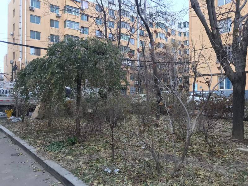 铁路小区(大东)园区图片