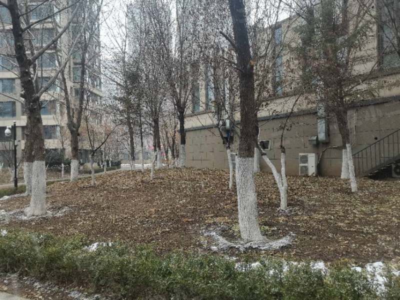 御景新世界园区图片