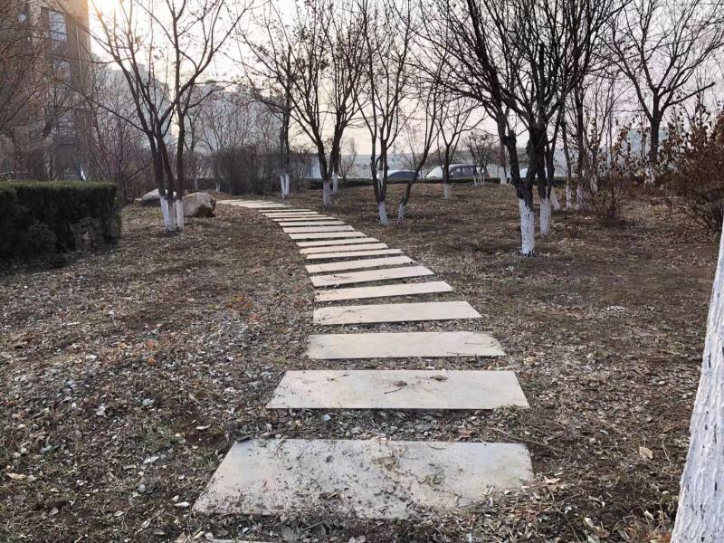 丽都新城爱丽香舍园区图片