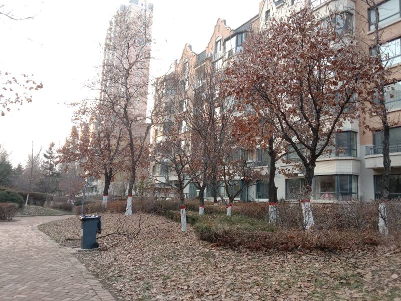 中海城一期二期园区图片