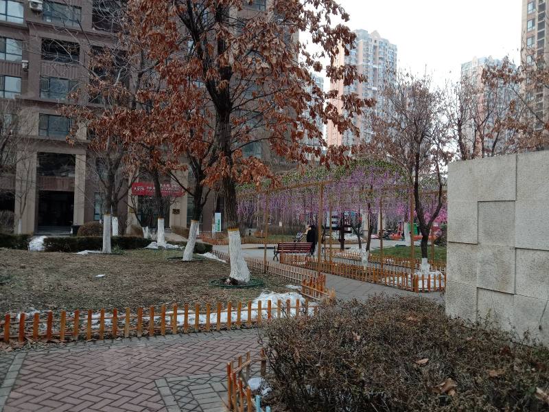 中海城阿尔卑斯园区图片