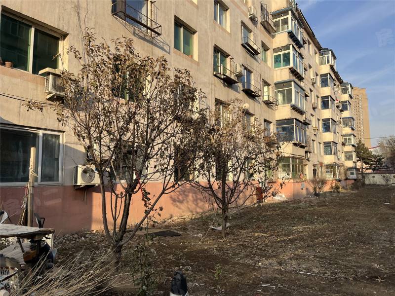 靓马新村园区图片