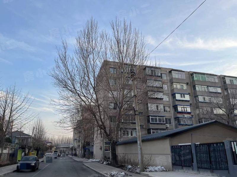 靓马鹏泰花园园区图片