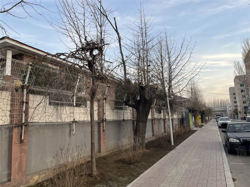 靓马鹏泰花园园区图片