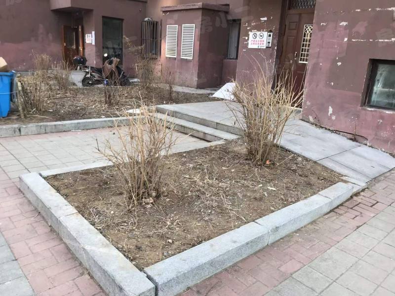 金山北苑园区图片