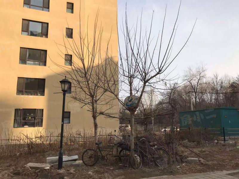 金山北苑园区图片