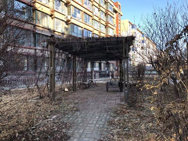 荣成世纪嘉园园区图片