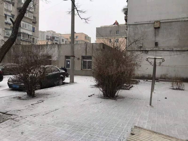 双喜小区园区图片
