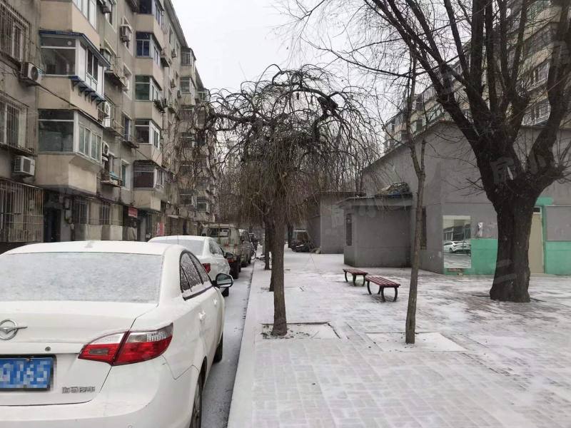 双喜小区园区图片