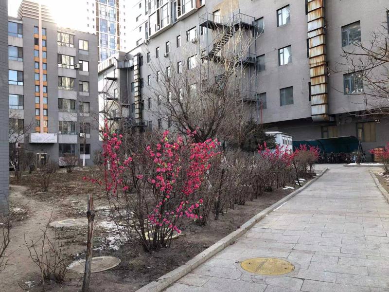 明城嘉苑园区图片