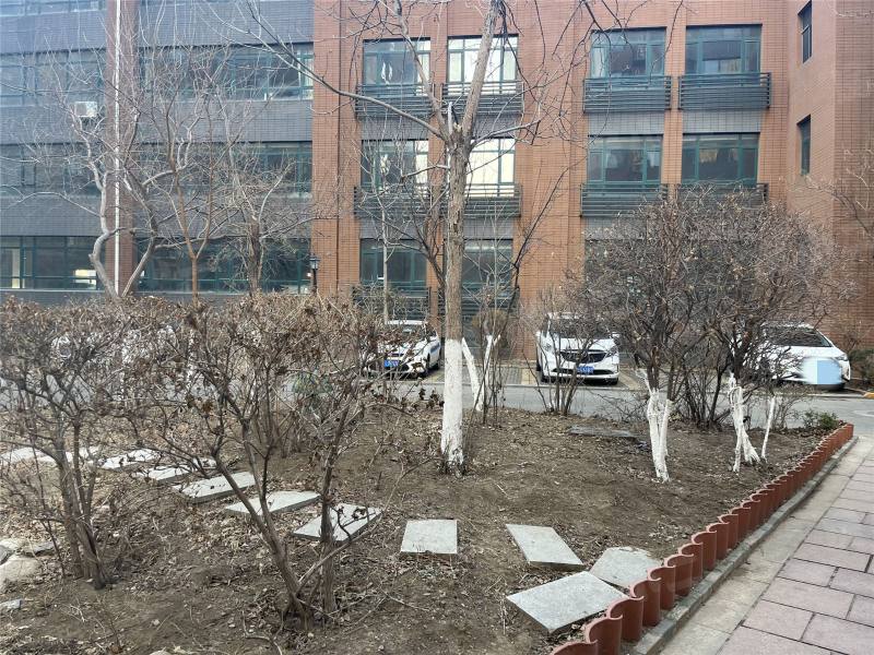 泊岸华庭园区图片