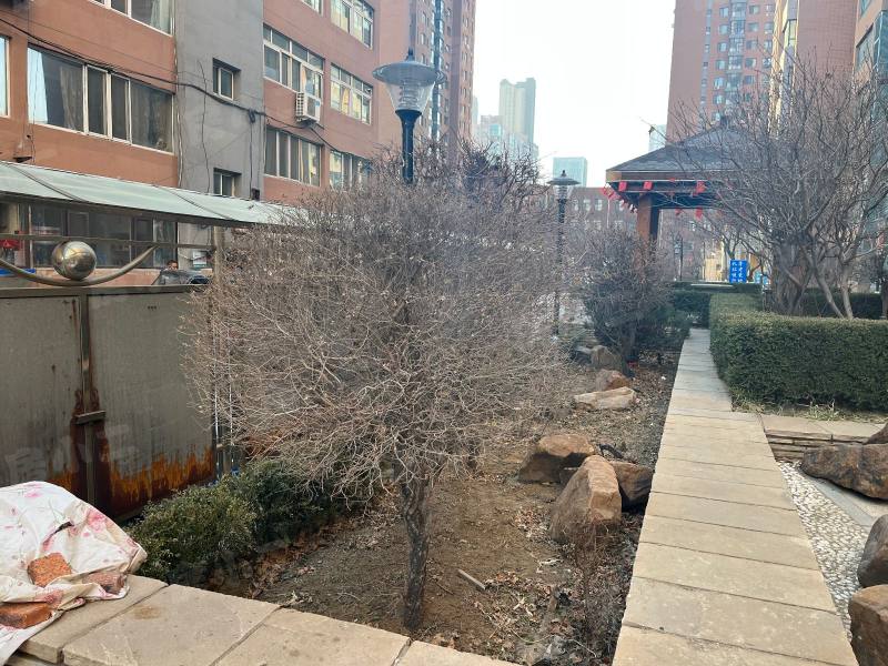 泊岸华庭园区图片