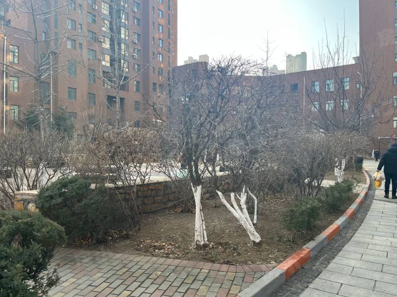 泊岸华庭园区图片