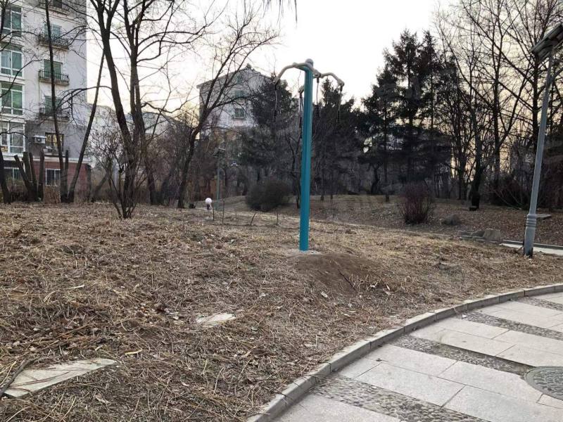 金宝花园园区图片