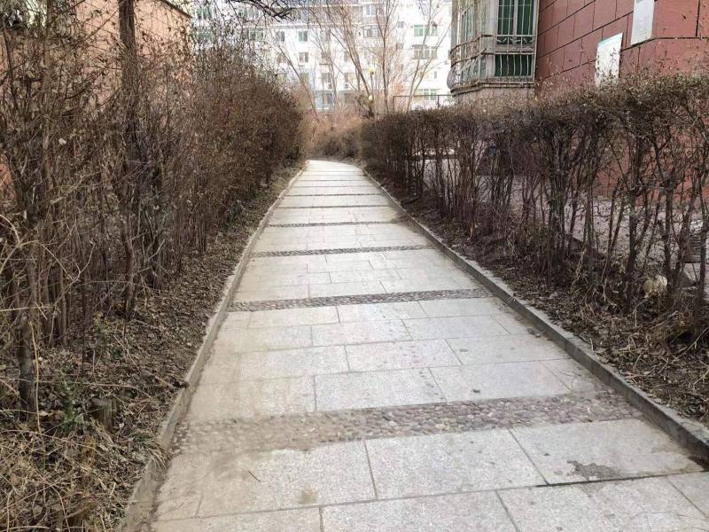 金宝花园园区图片