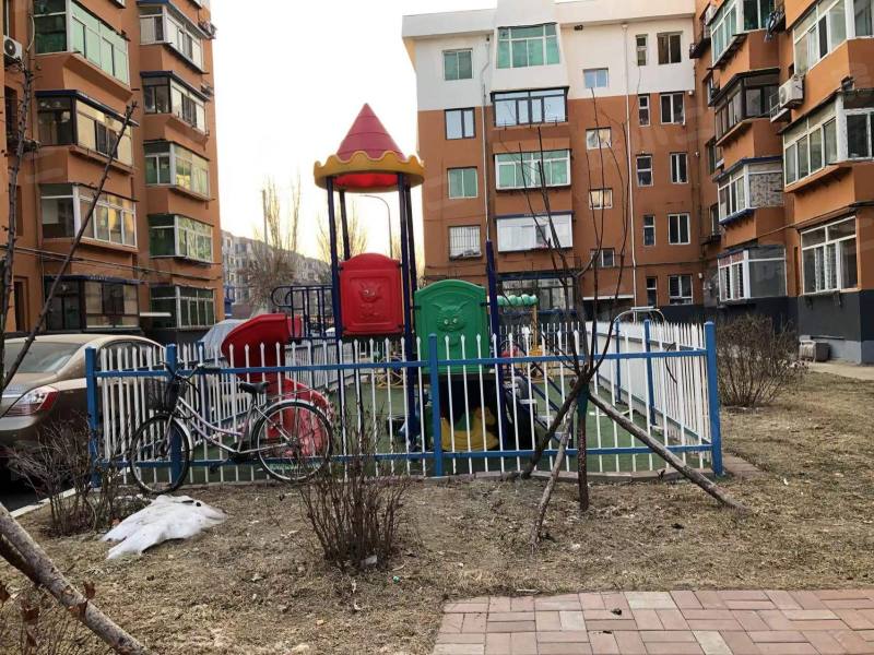 金山三小区园区图片