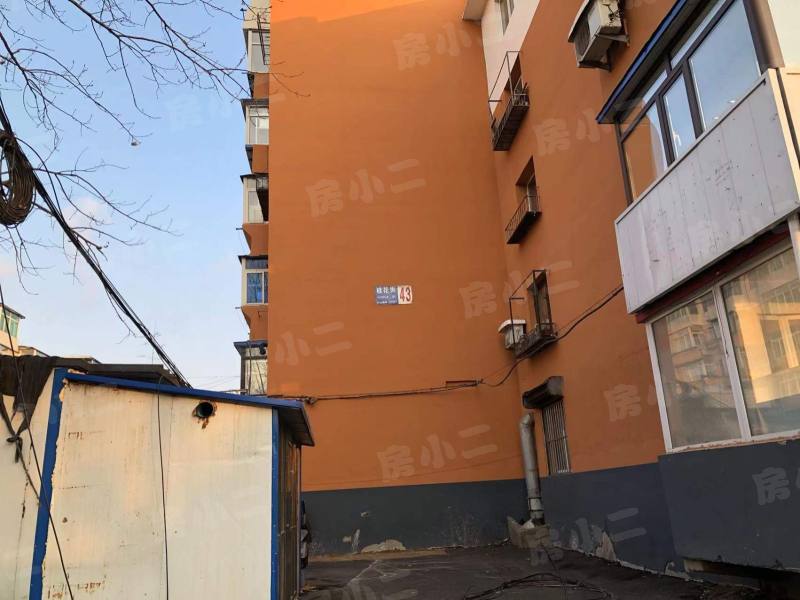 金山三小区园区图片