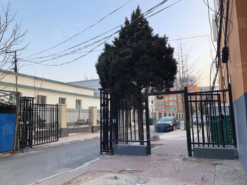 金山三小区园区图片