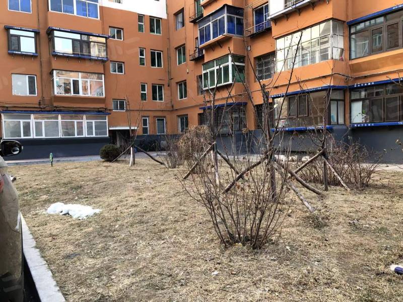 金山三小区园区图片