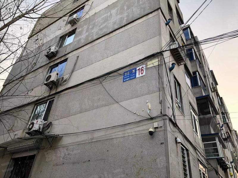 金山三小区园区图片